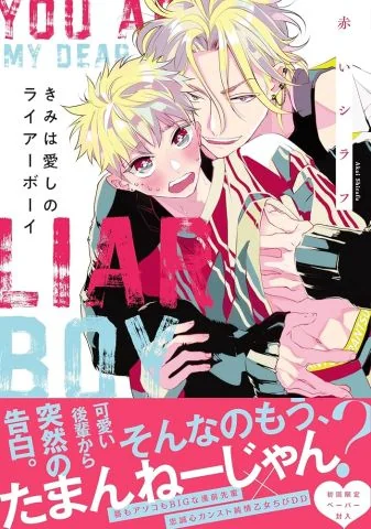 Người Tình Dối Trá Của Tôi