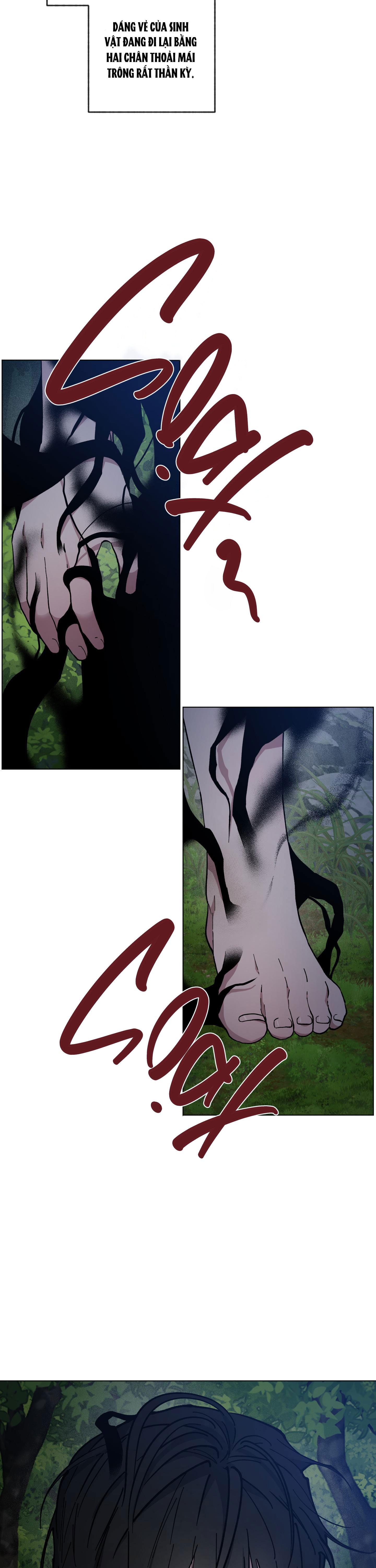 BÌNH MINH CỦA RỒNG - Chap 34