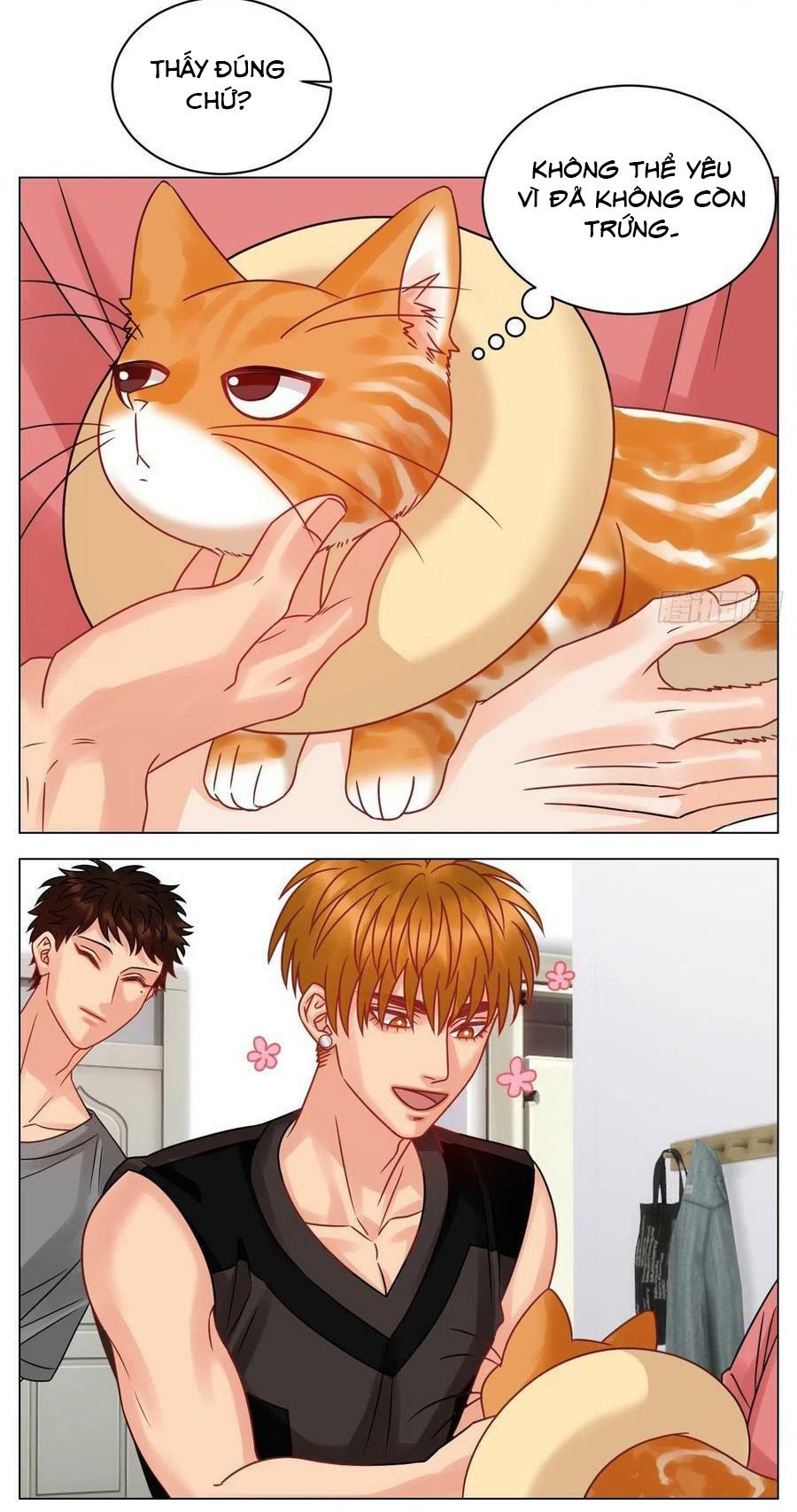 Ký túc xá nam phòng 303 - Chap 204