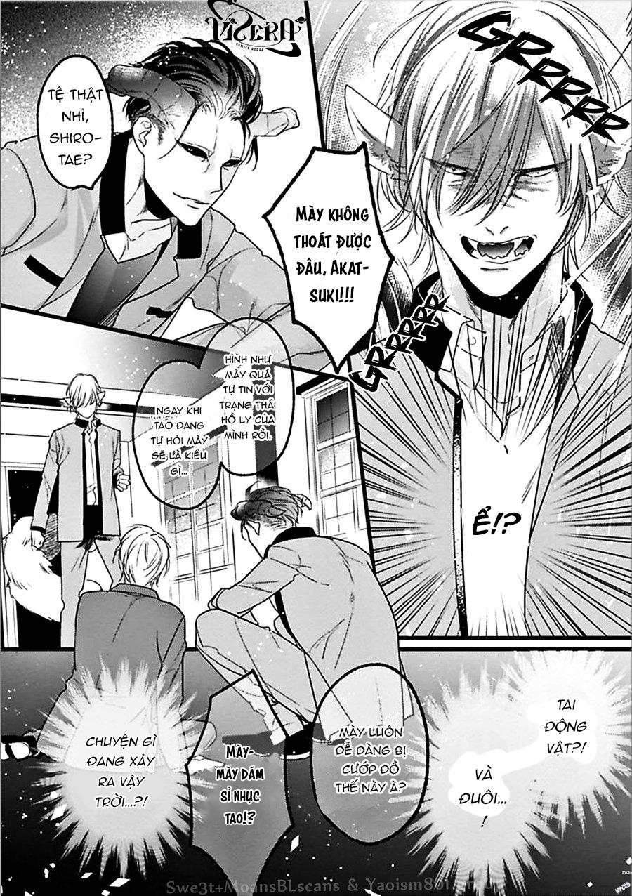 Trăng Sáng Xuất Hiện Nơi Khu Rừng Huyền Bí - Chap 1