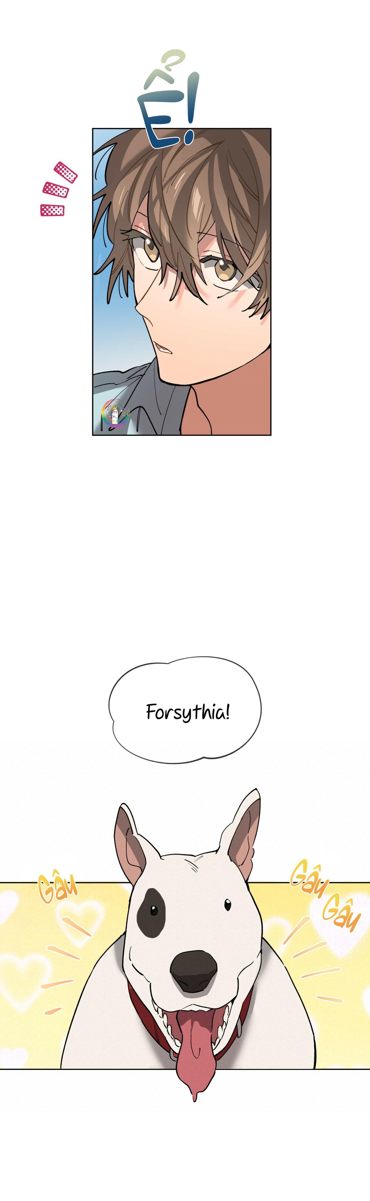 Cơn Mưa Rào (END) - Chap 62