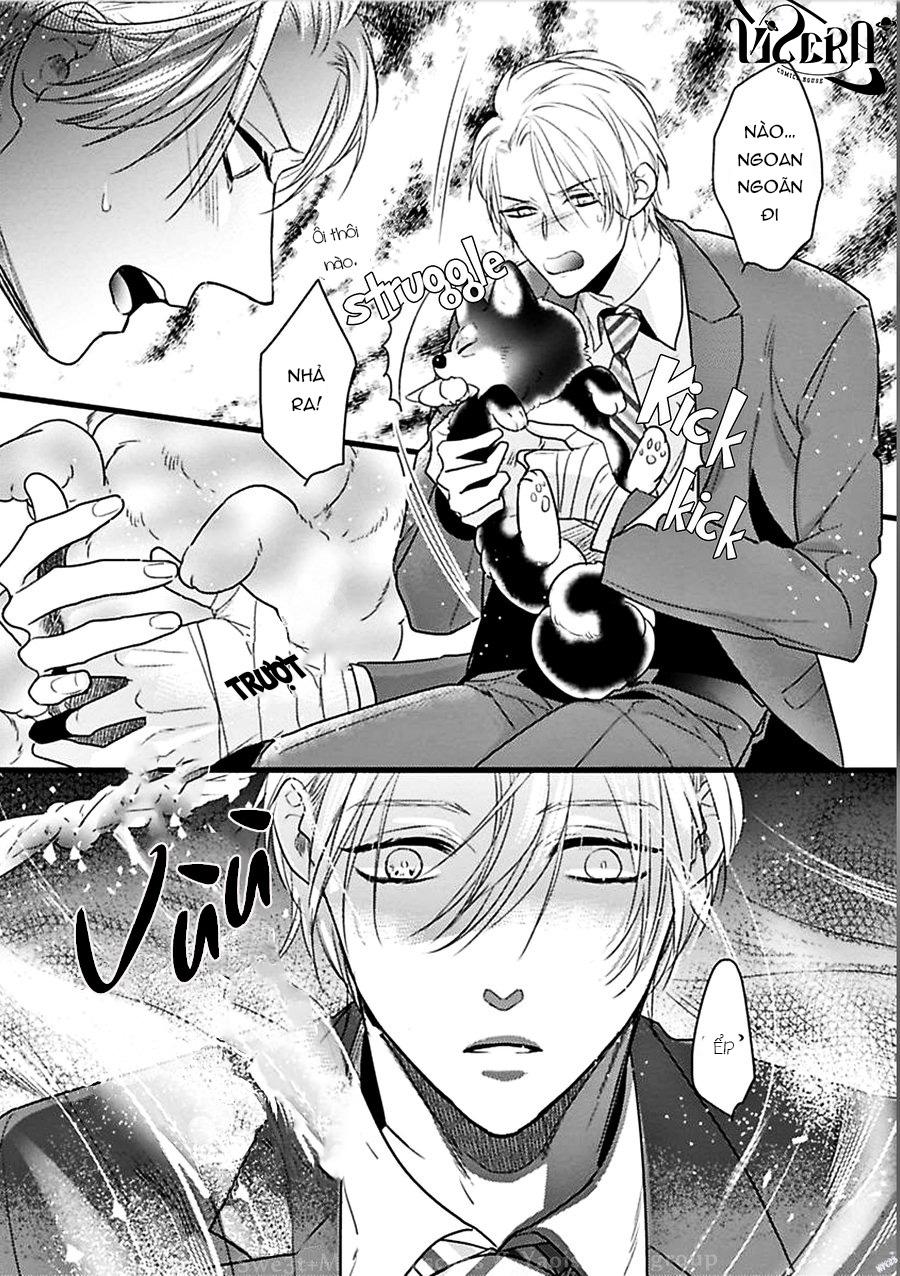 Trăng Sáng Xuất Hiện Nơi Khu Rừng Huyền Bí - Chap 1