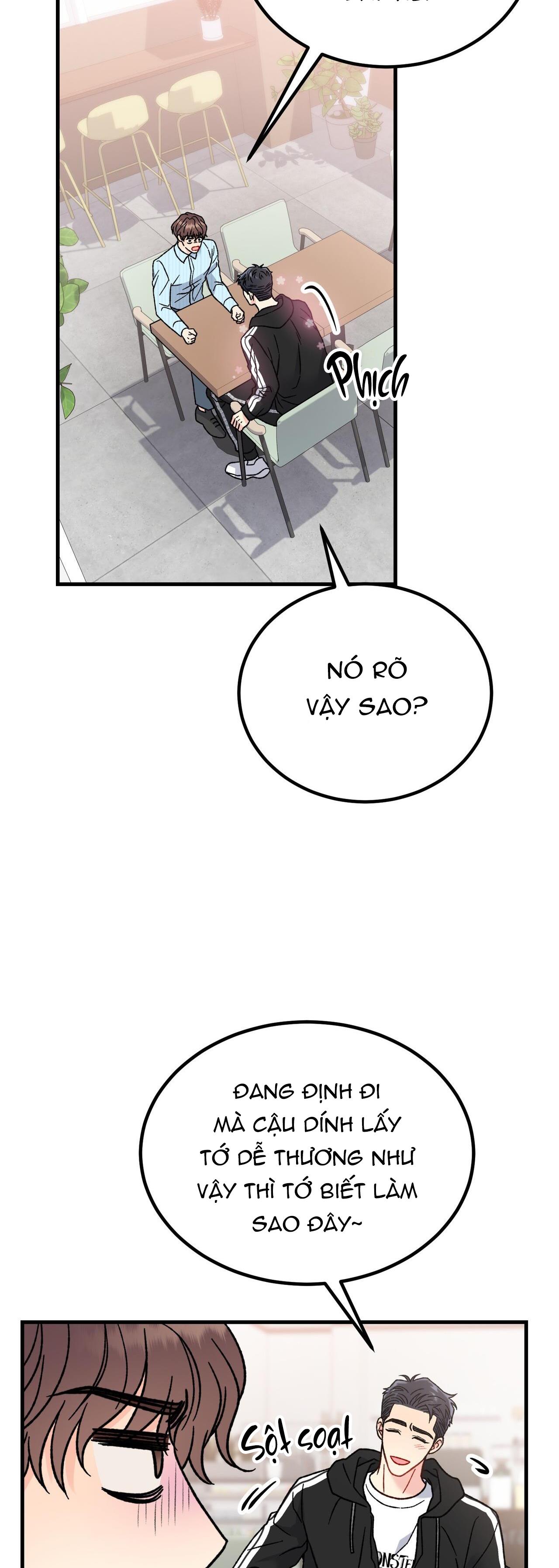 CẬU KHÔNG PHẢI LÀ GU CỦA TÔI - Chap 5