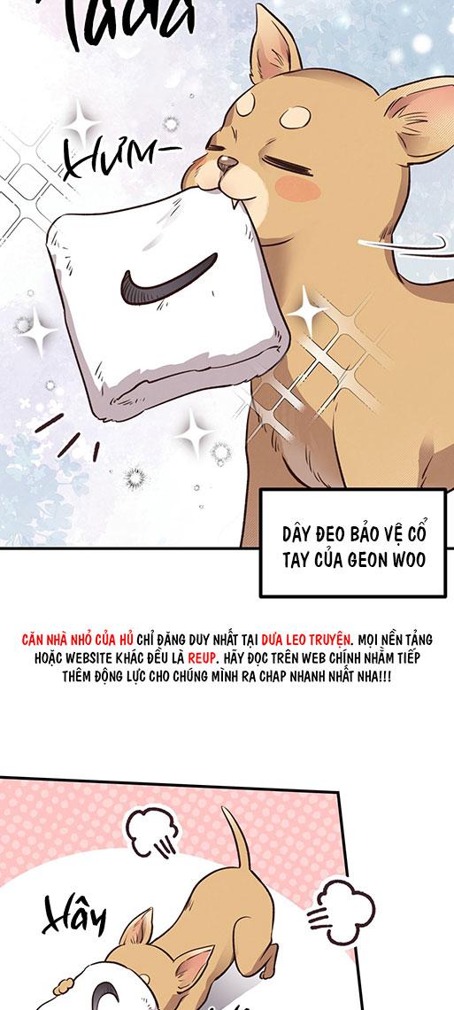 MẬT GẤU - Chap 26