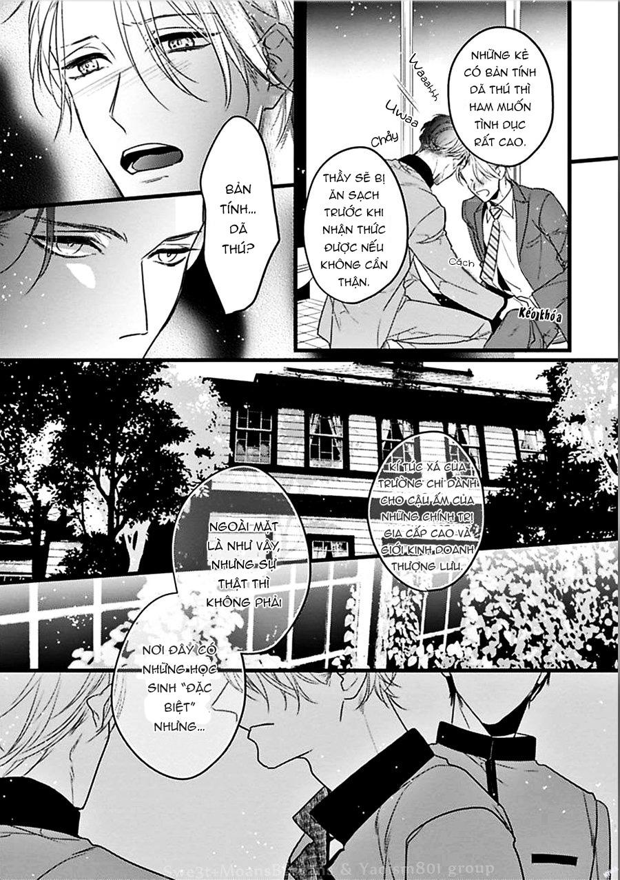 Trăng Sáng Xuất Hiện Nơi Khu Rừng Huyền Bí - Chap 1