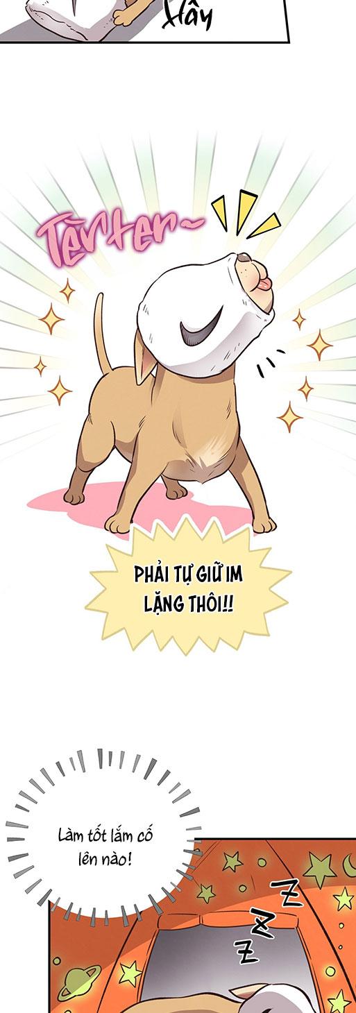 MẬT GẤU - Chap 26