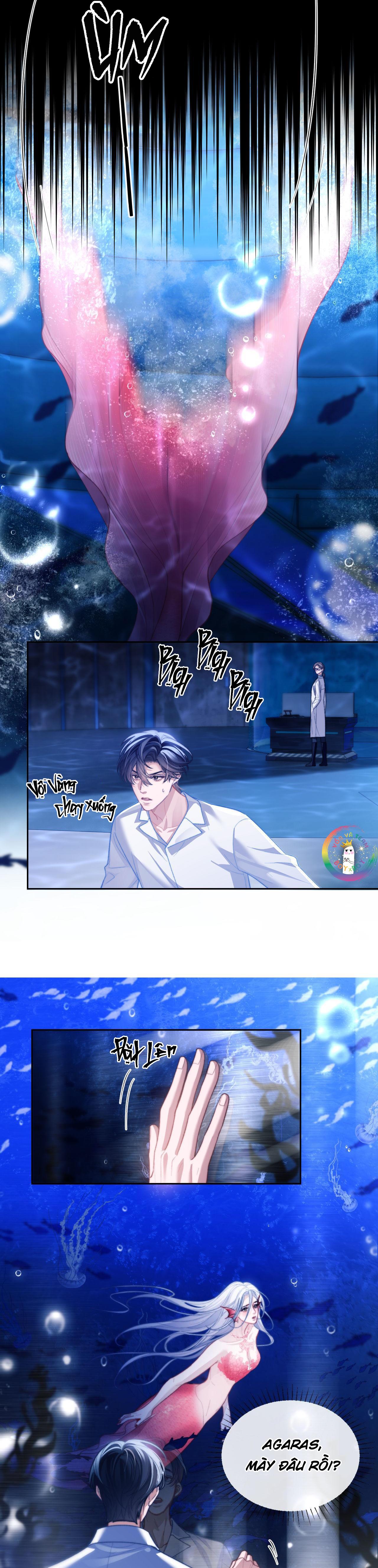 Nhân Ngư Desharow - Chap 12