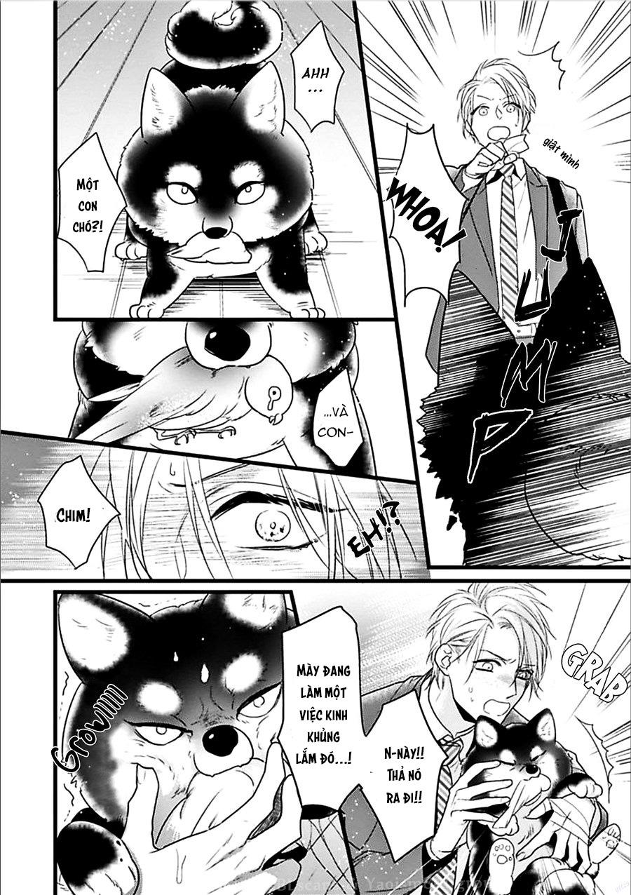 Trăng Sáng Xuất Hiện Nơi Khu Rừng Huyền Bí - Chap 1