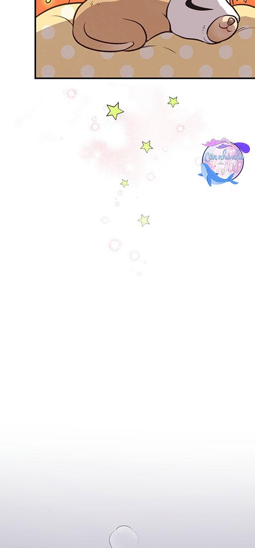 MẬT GẤU - Chap 26