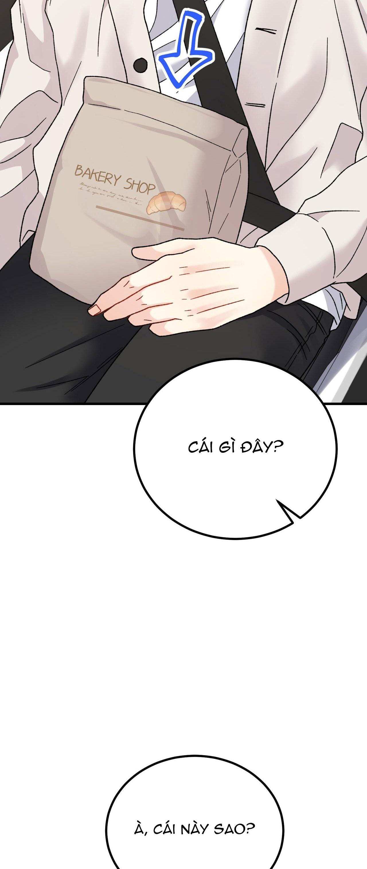 CẬU KHÔNG PHẢI LÀ GU CỦA TÔI - Chap 11