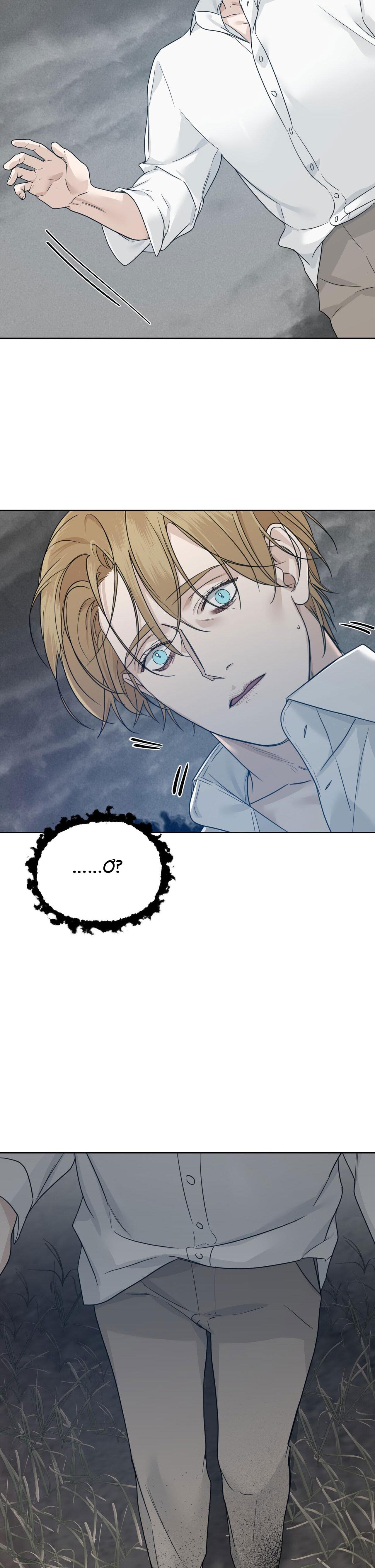 INTO THE ROSE GARDEN - Chap 26