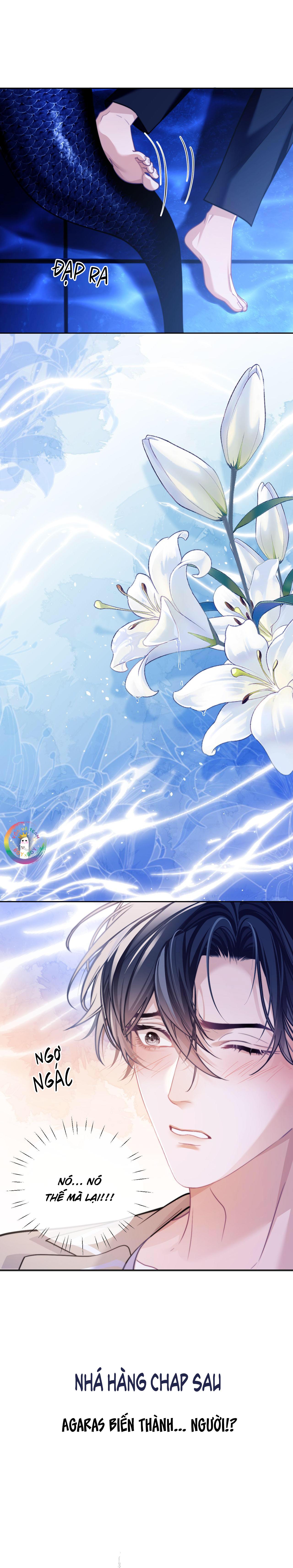 Nhân Ngư Desharow - Chap 17