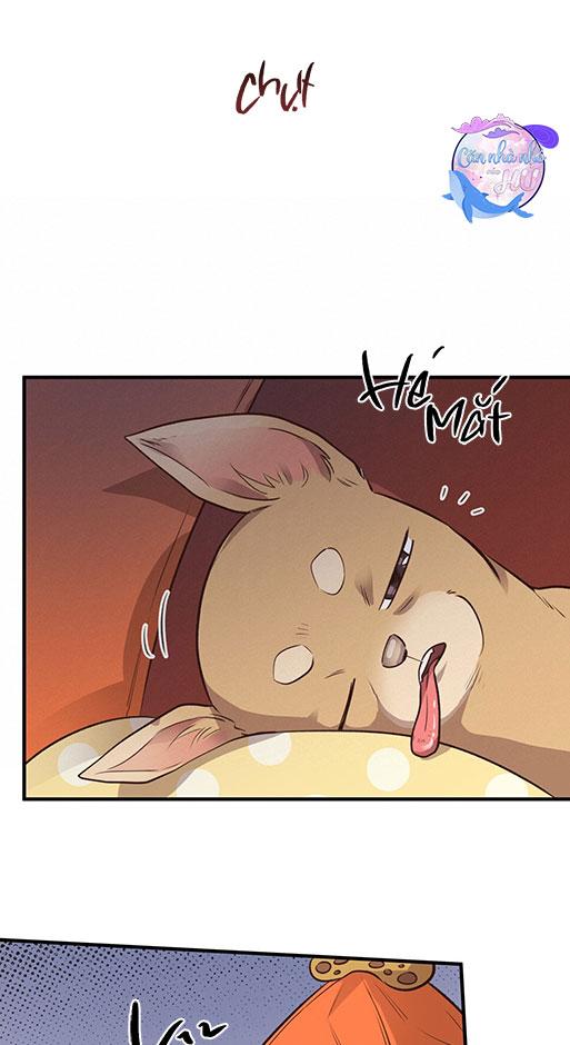 MẬT GẤU - Chap 26