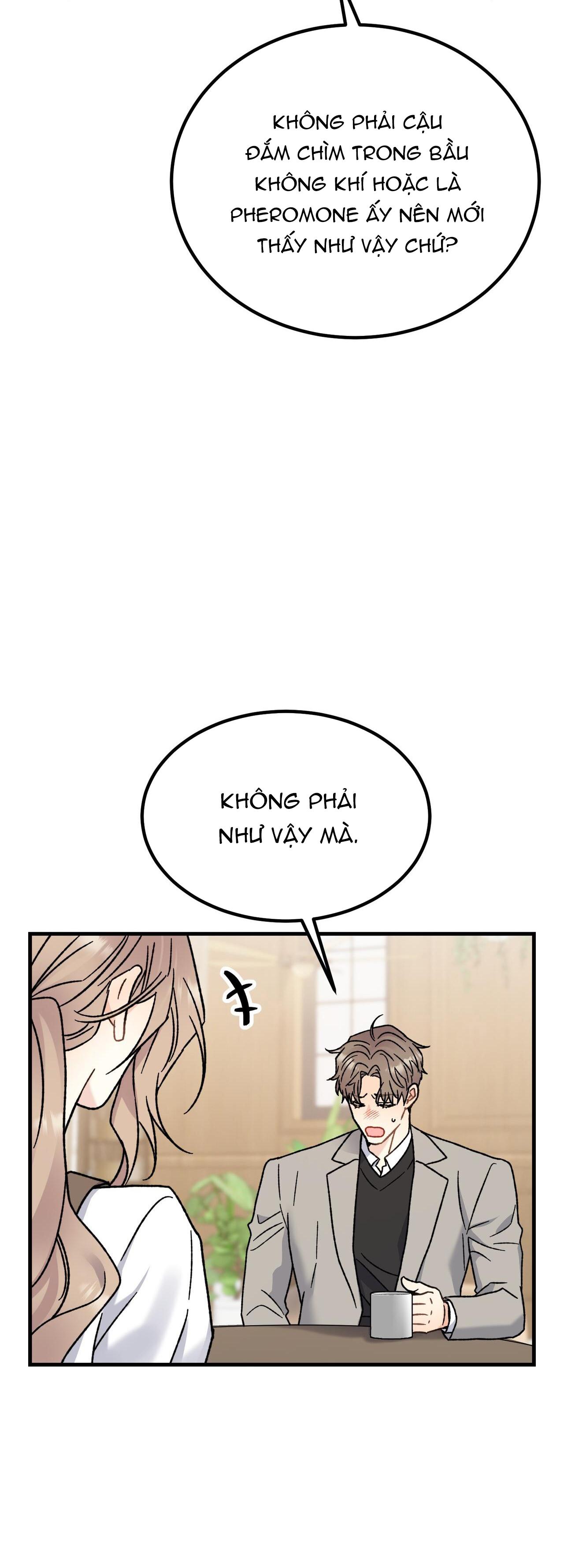 CẬU KHÔNG PHẢI LÀ GU CỦA TÔI - Chap 2