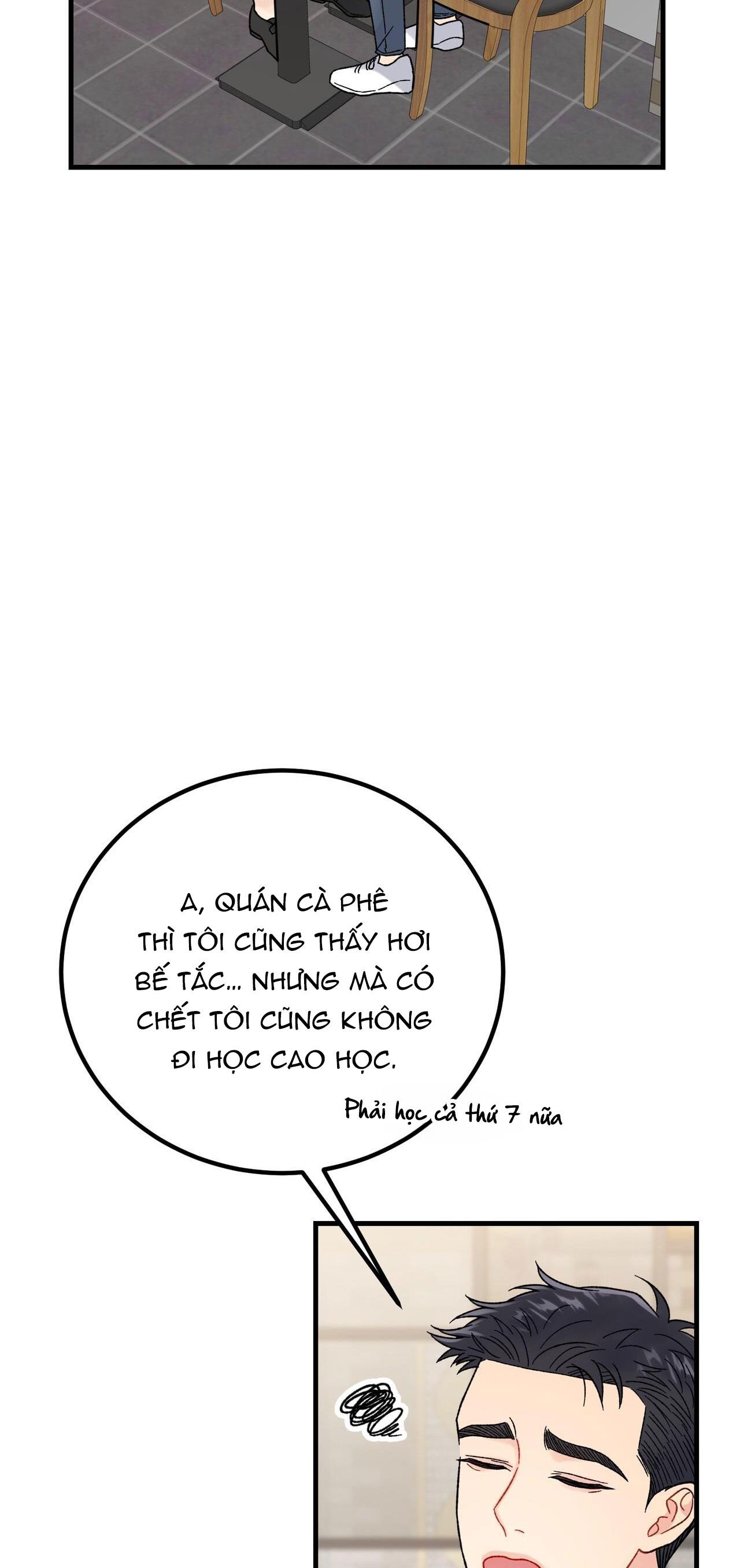 CẬU KHÔNG PHẢI LÀ GU CỦA TÔI - Chap 11