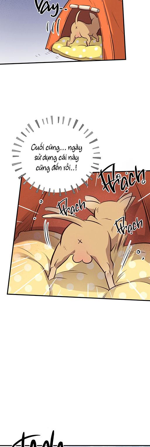 MẬT GẤU - Chap 26