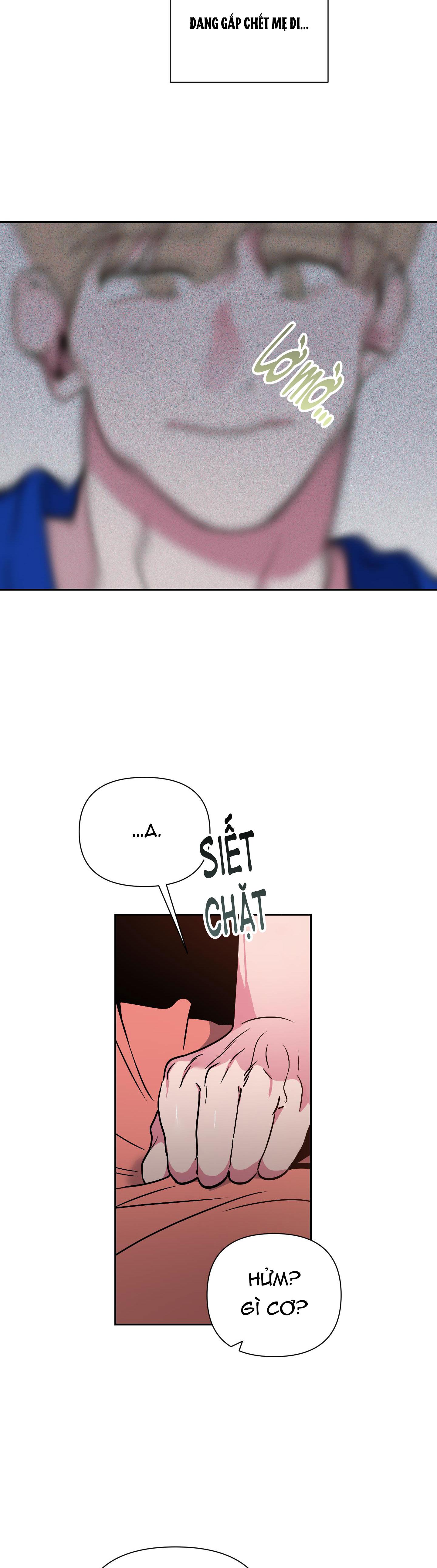 ANH, HÌNH NHƯ EM TĂNG CÂN RỒI - Chap 5