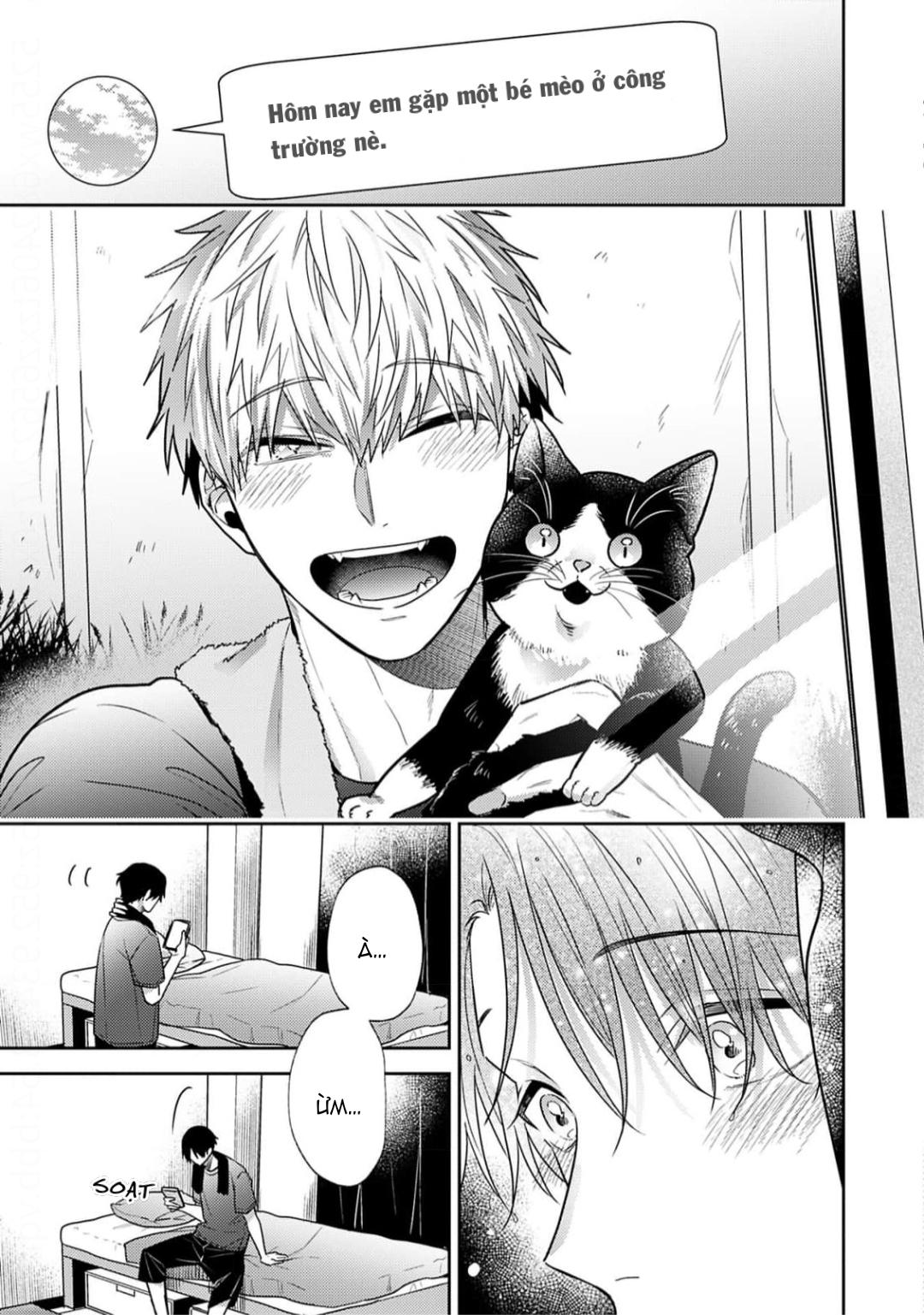 Tình Yêu Này Thực Sự Quá Ngọt Ngào Rồi - Chap 4