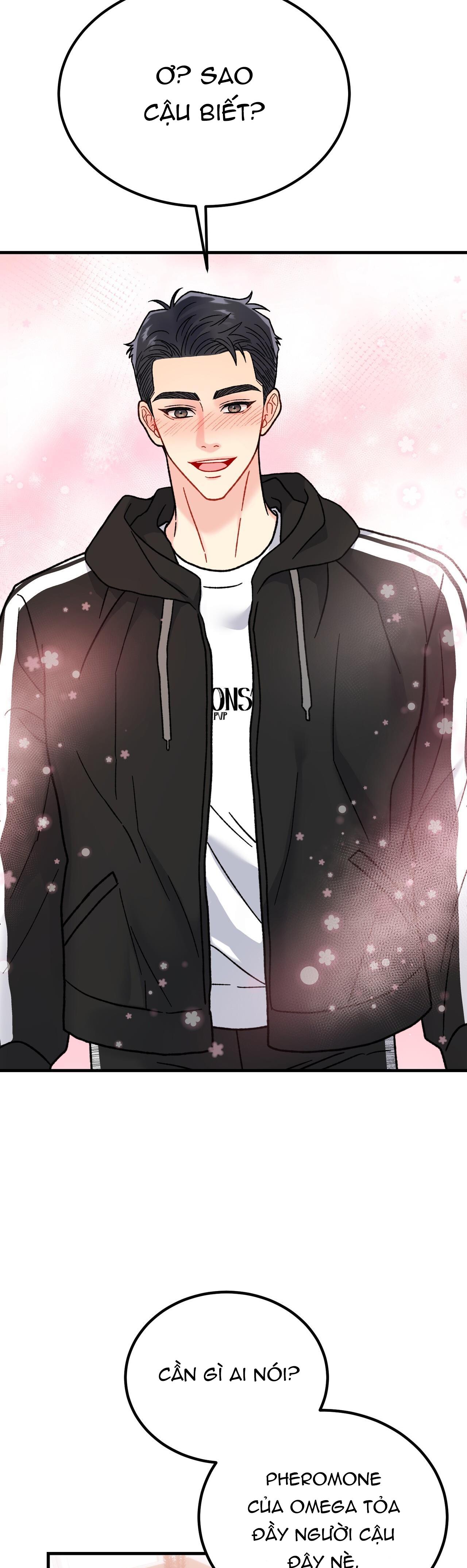 CẬU KHÔNG PHẢI LÀ GU CỦA TÔI - Chap 5