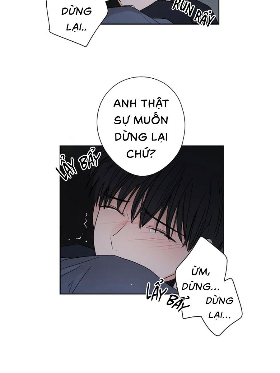 Tiền Bối, Chúng Ta Cần Nói Chuyện - Chap 28