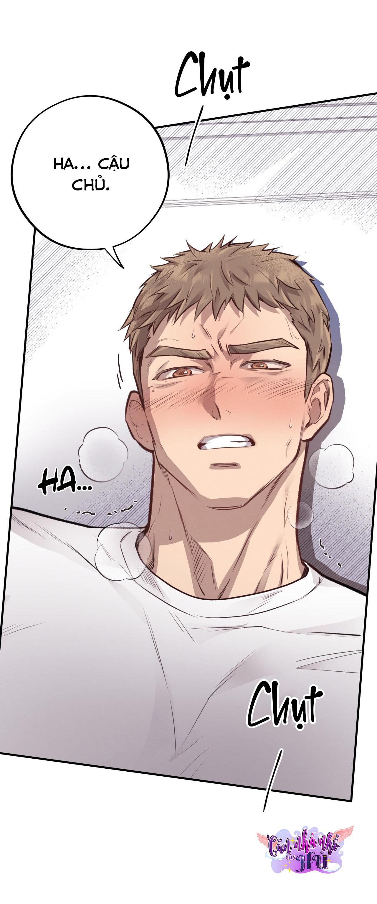 MẬT GẤU - Chap 12