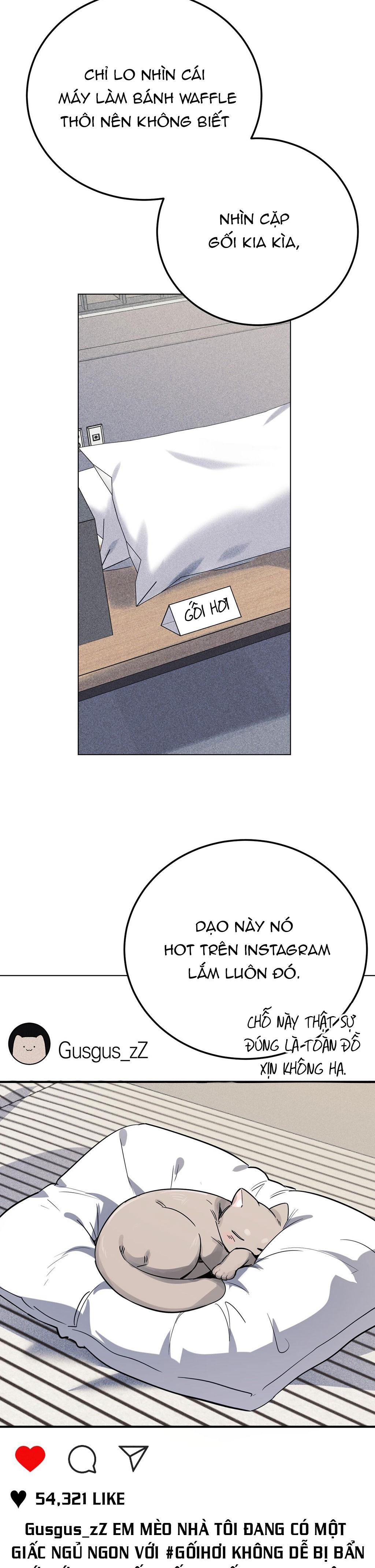 CẠM BẪY ĐẠI HỌC - Chap 47