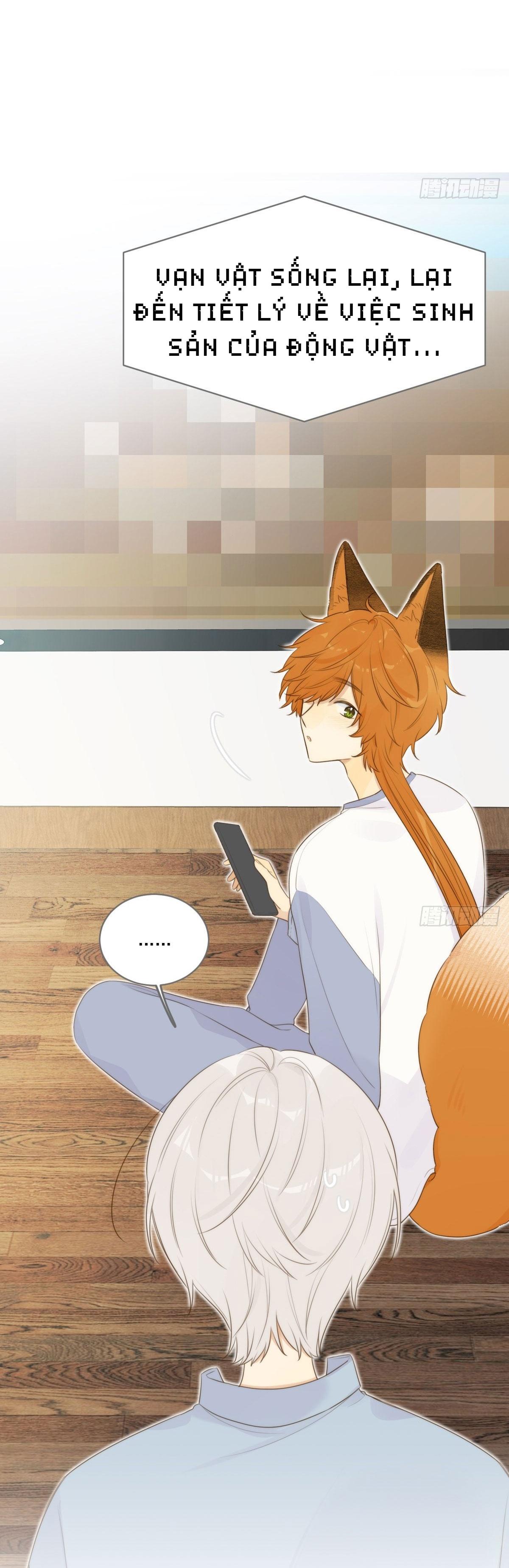 Chỉ Riêng Đuôi Là Không Được!!! - Chap 13