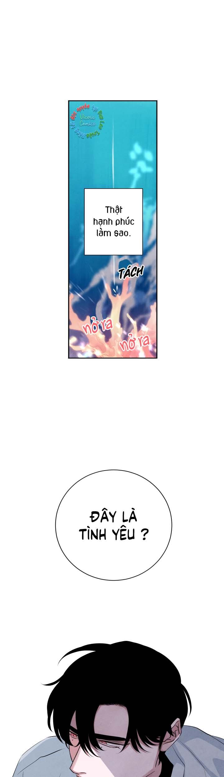 Âm Thanh Của San Hô - Chap 22