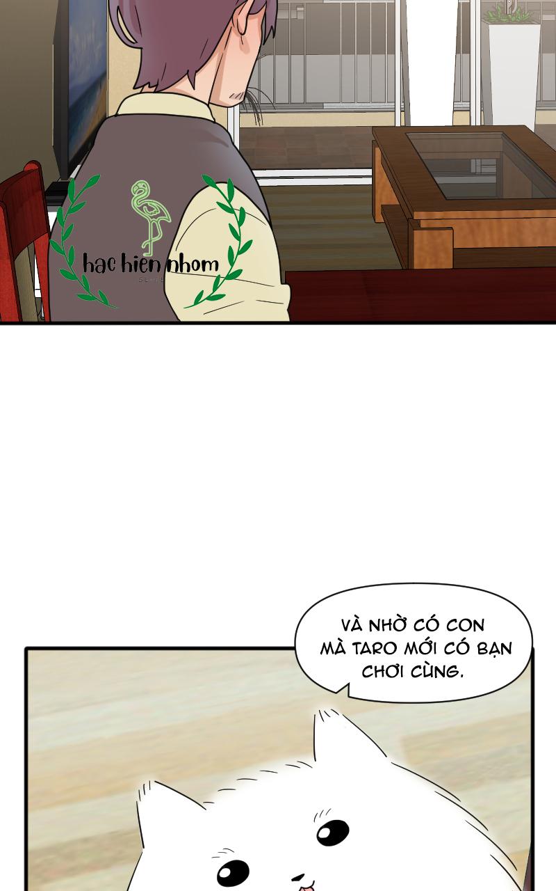 Truyện Ngôn Nhưng Không Ngôn Lắm - Chap 26