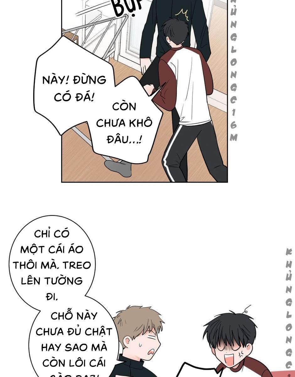 Tiền Bối, Chúng Ta Cần Nói Chuyện - Chap 8