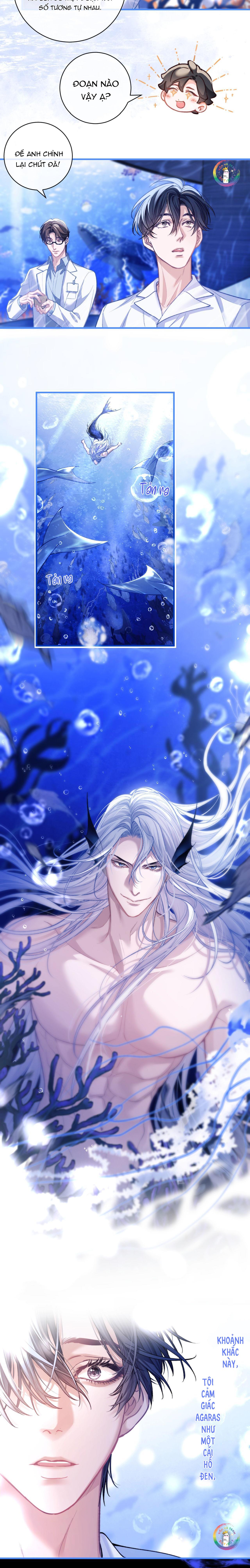 Nhân Ngư Desharow - Chap 9