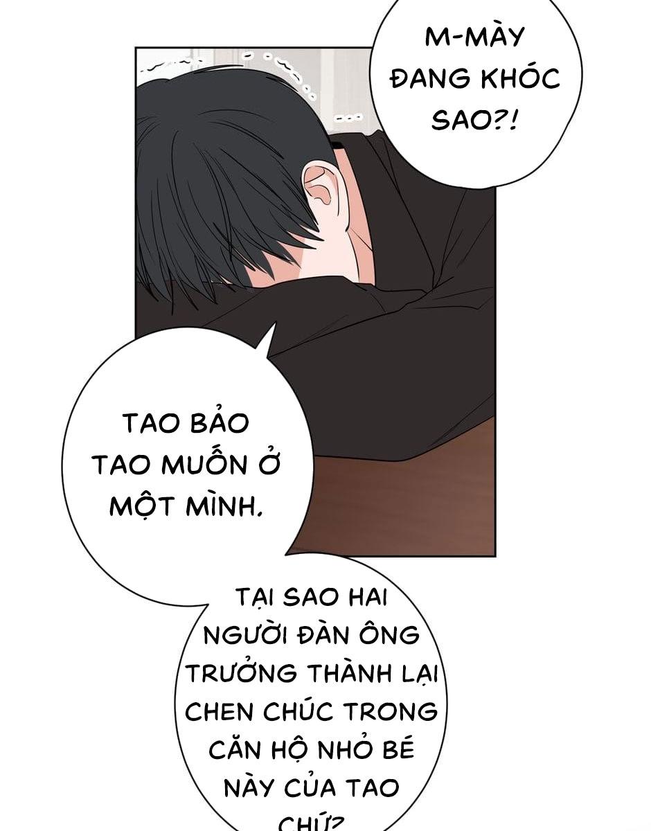 Tiền Bối, Chúng Ta Cần Nói Chuyện - Chap 17