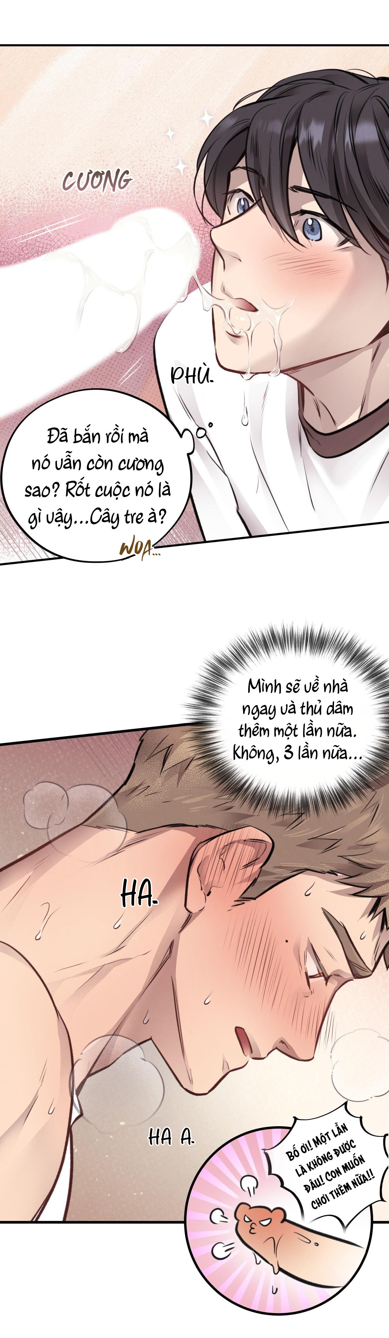 MẬT GẤU - Chap 12