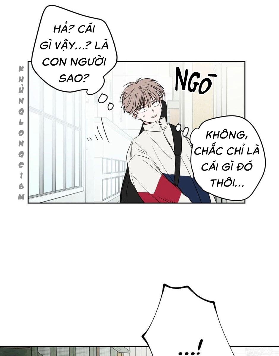 Tiền Bối, Chúng Ta Cần Nói Chuyện - Chap 22