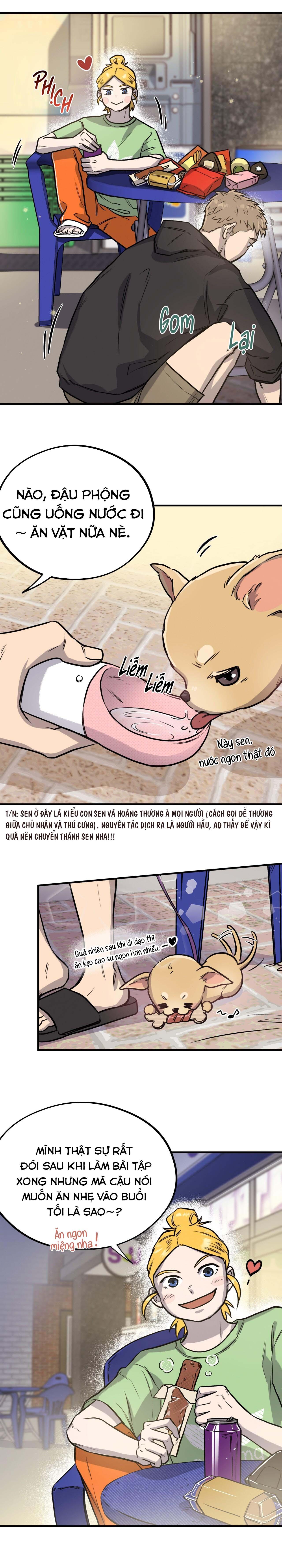 MẬT GẤU - Chap 4