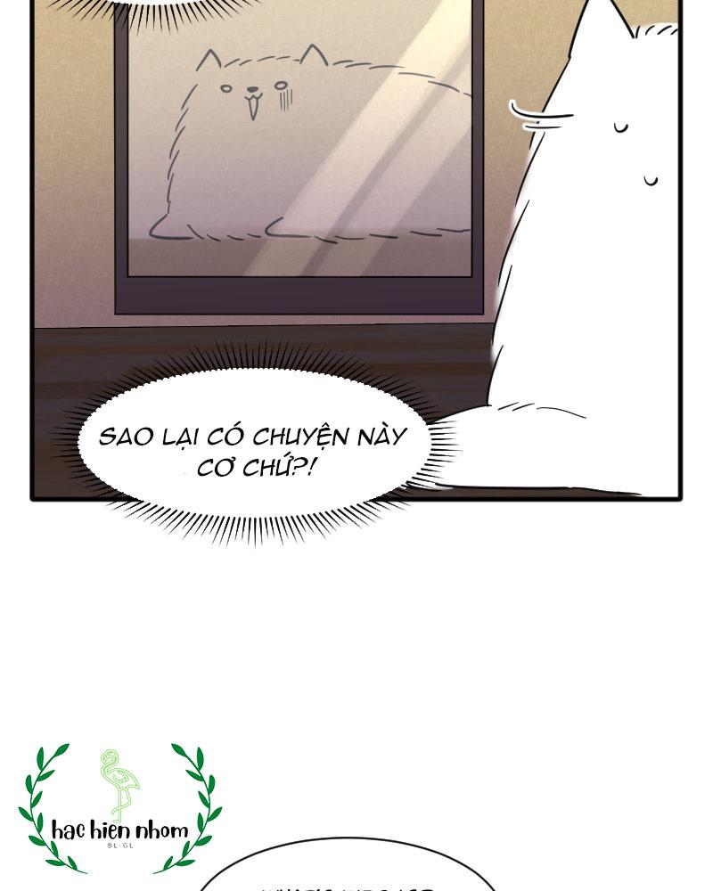 Truyện Ngôn Nhưng Không Ngôn Lắm - Chap 15