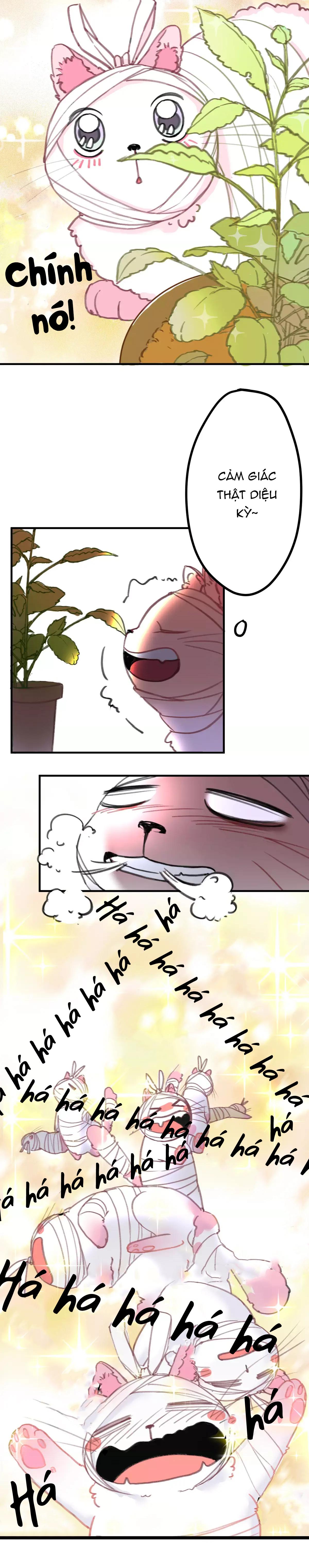 Xã Hội Mồn Lèo - Chap 3