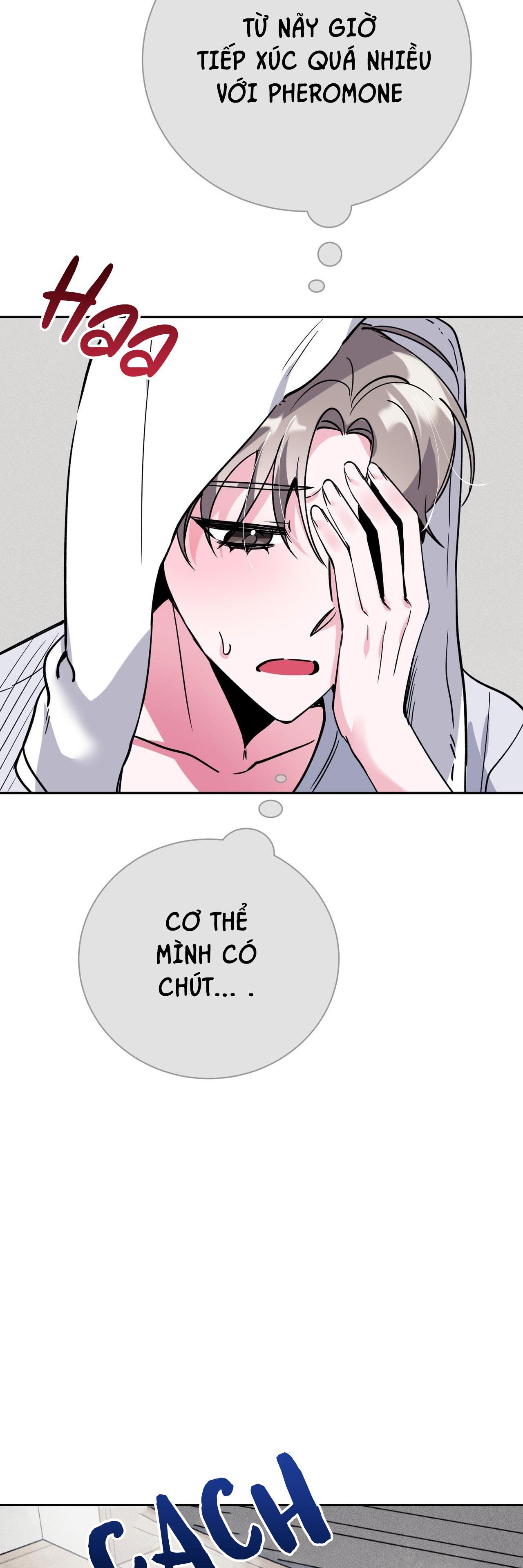 CẠM BẪY ĐẠI HỌC - Chap 35