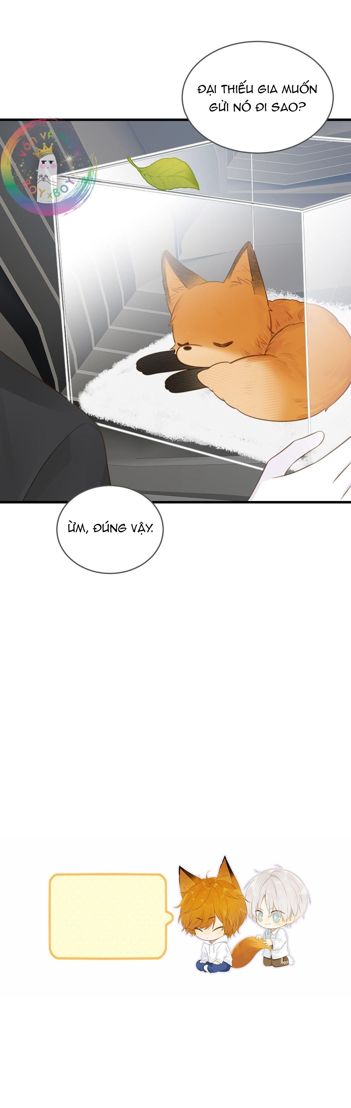 Chỉ Riêng Đuôi Là Không Được!!! - Chap 7