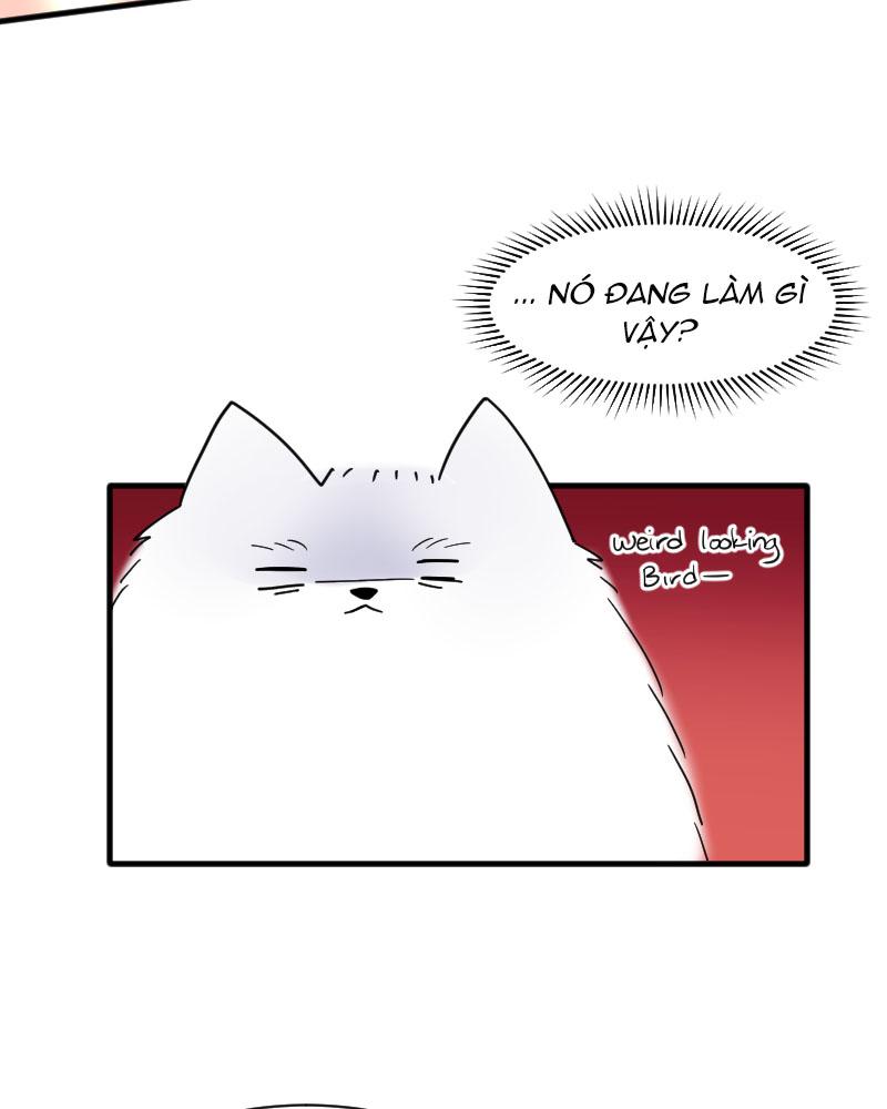 Truyện Ngôn Nhưng Không Ngôn Lắm - Chap 15