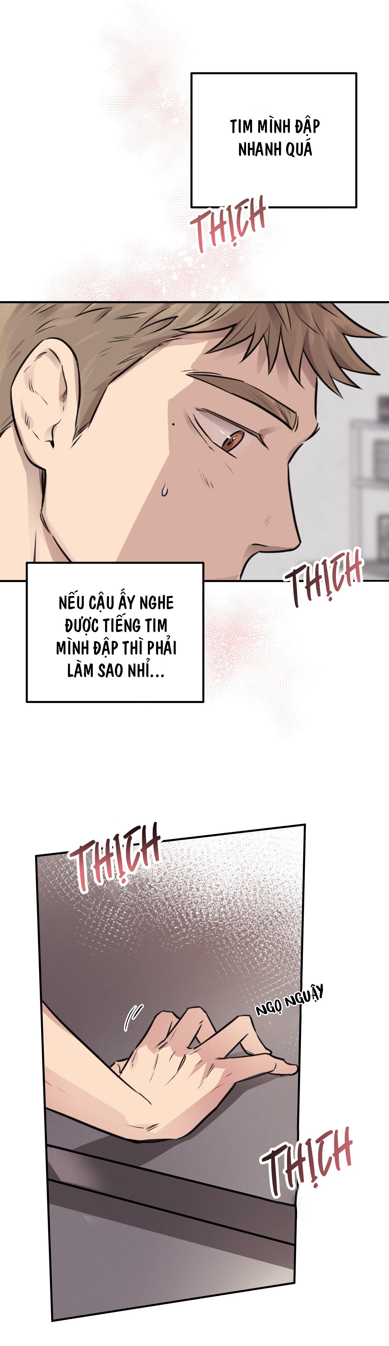 MẬT GẤU - Chap 8