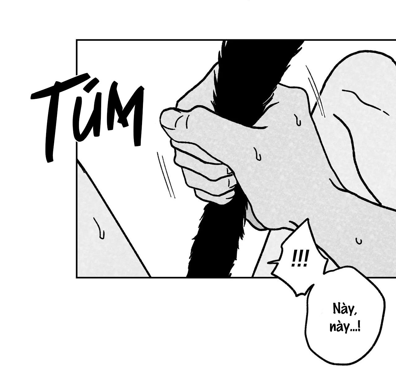 Sự kết hợp hoàn hảo - Chap 11