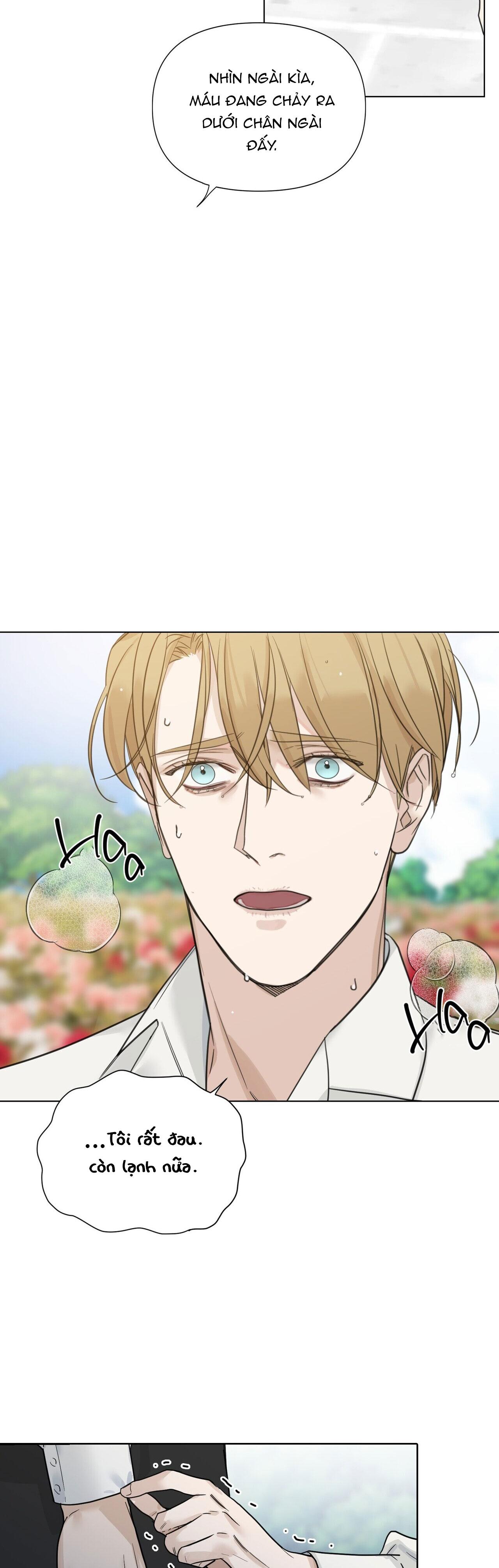INTO THE ROSE GARDEN - Chap 16