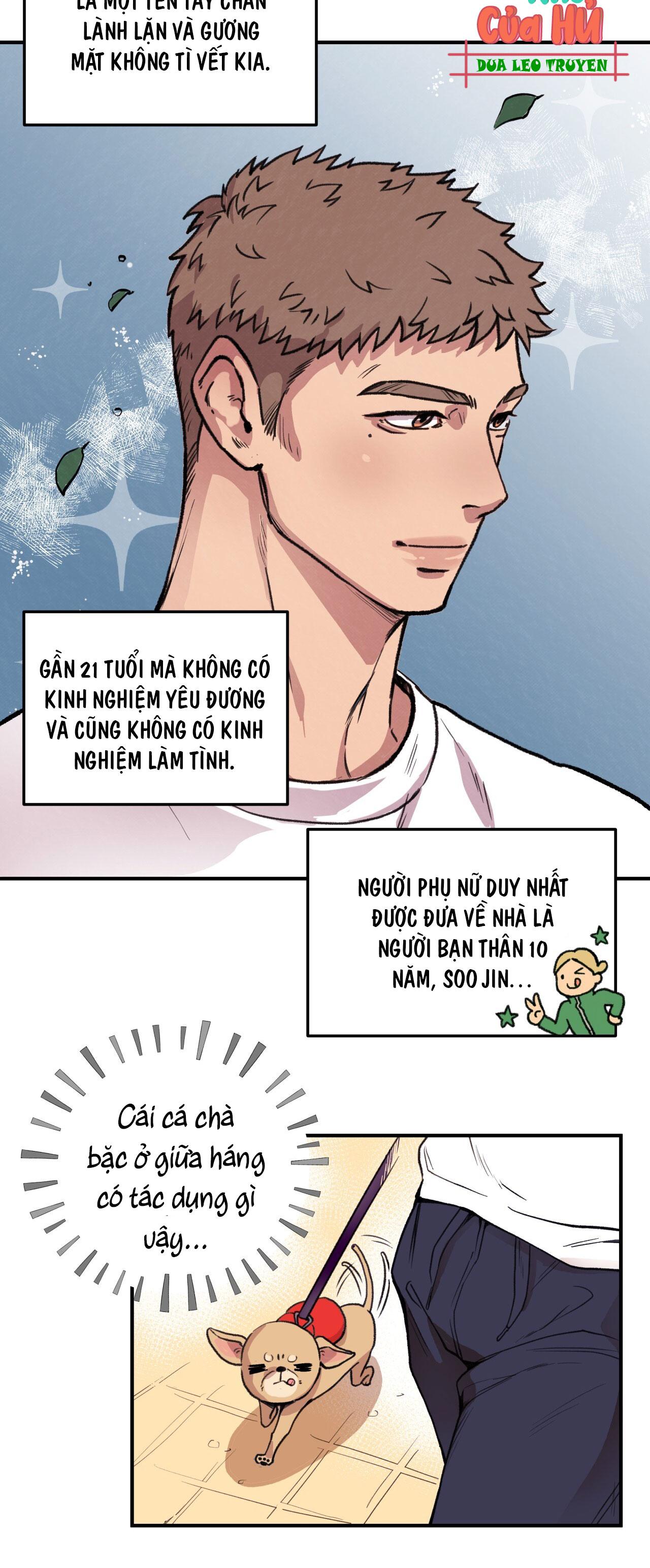 MẬT GẤU - Chap 1
