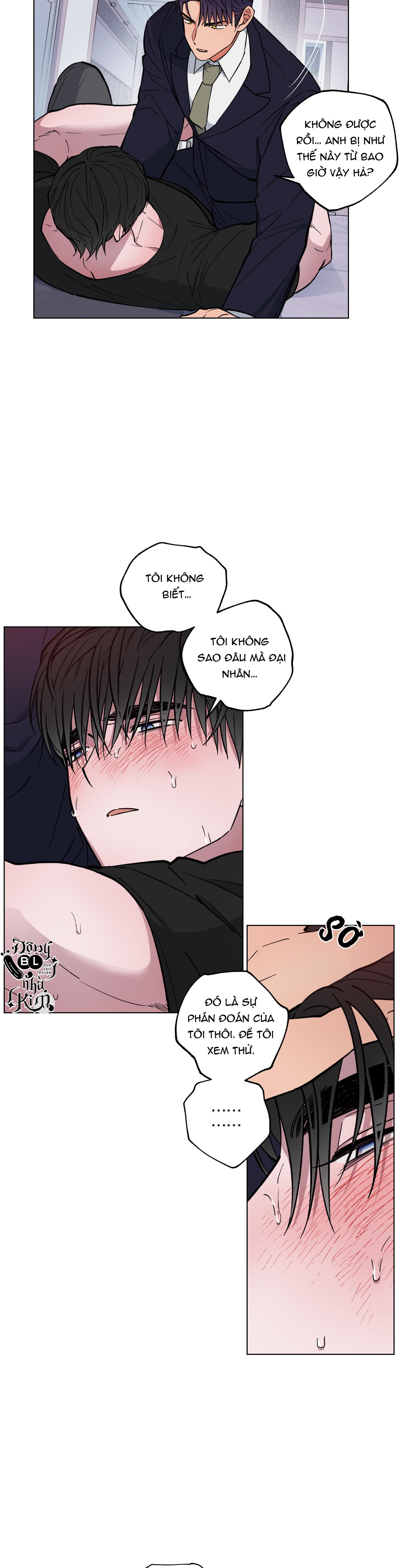 BÌNH MINH CỦA RỒNG - Chap 11