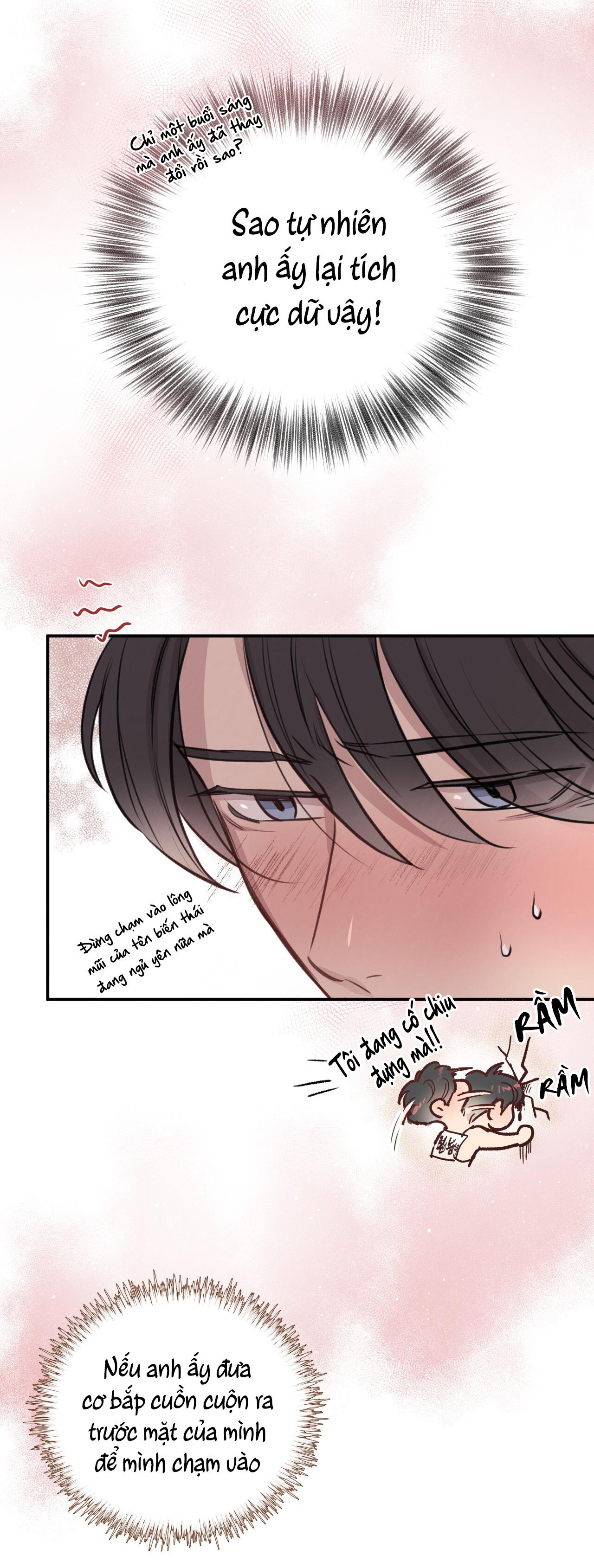 MẬT GẤU - Chap 8