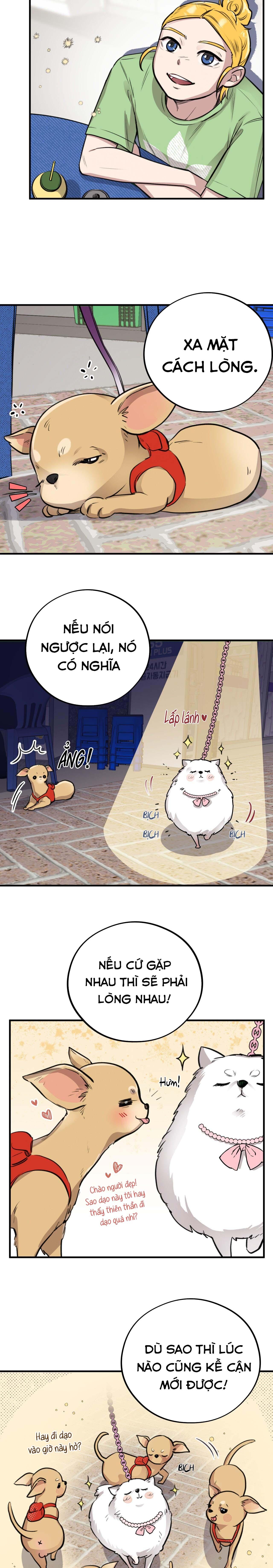 MẬT GẤU - Chap 4