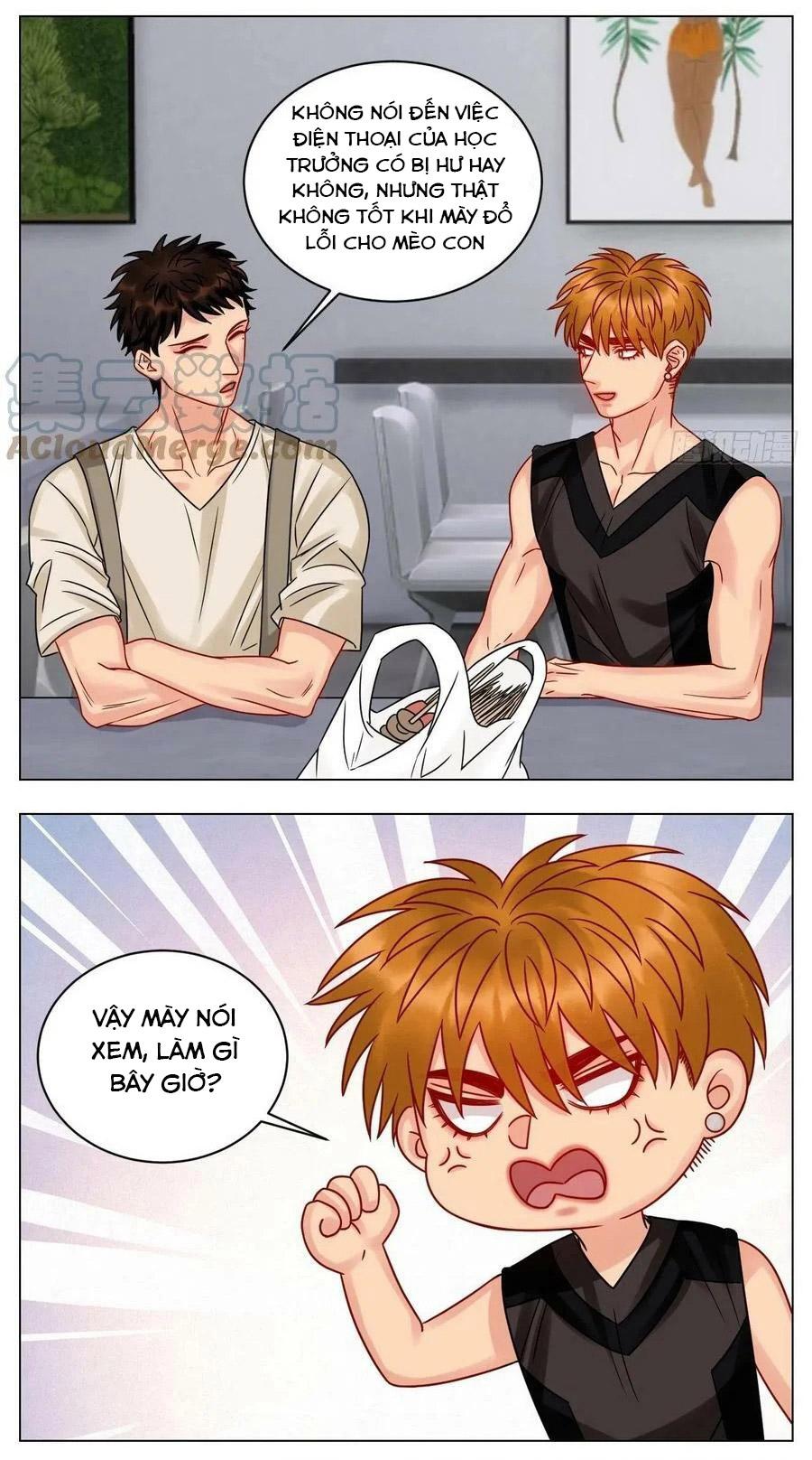 Ký túc xá nam phòng 303 - Chap 196