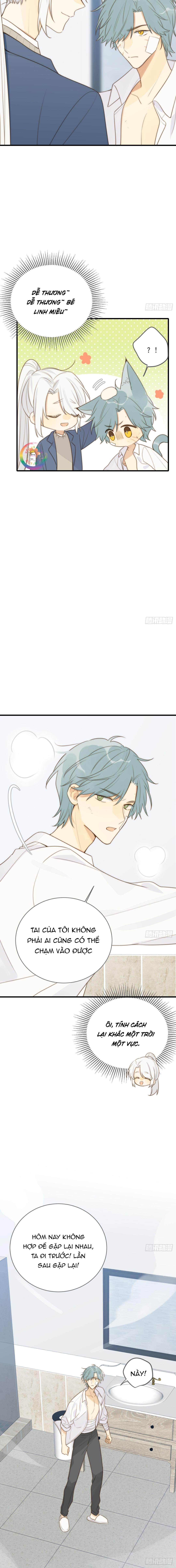 Chỉ Riêng Đuôi Là Không Được!!! - Chap 32