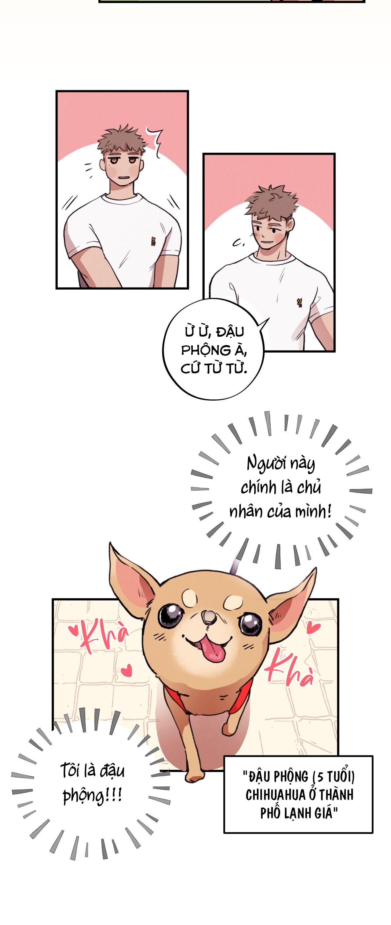 MẬT GẤU - Chap 1